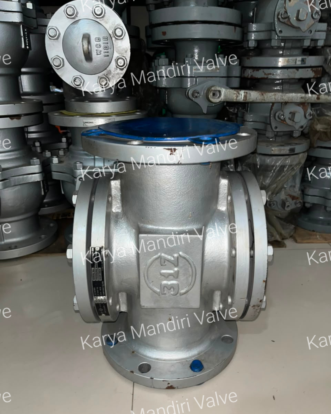 Double Window Sight Glass